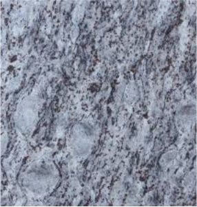 Bala Flower Granite