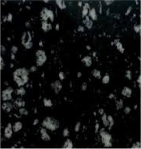 Forest Black Granite